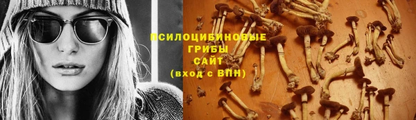 Альфа ПВП Бугульма