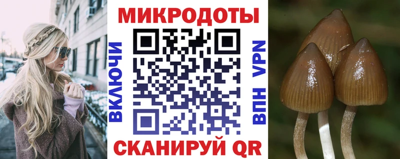 Псилоцибиновые грибы Cubensis Медногорск